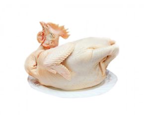 Thịt gà ta Bình Định Thịt gà ta Bình Định