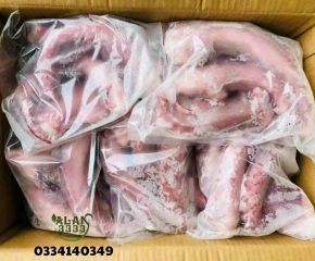 Cung cấp râu bạch tuộc khổng lồ