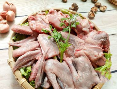 Thịt Chim Bồ Câu Có Tác Dụng Gì Và Một Số Món Ngon Từ Chim Bồ Câu