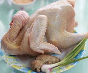 Thịt gà ta Bình Định Thịt gà ta Bình Định