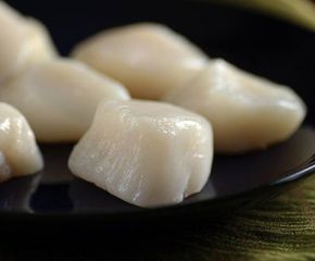 Cồi Sò Điệp Cồi Sò Điệp