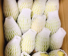 Xoài Đóng Gói